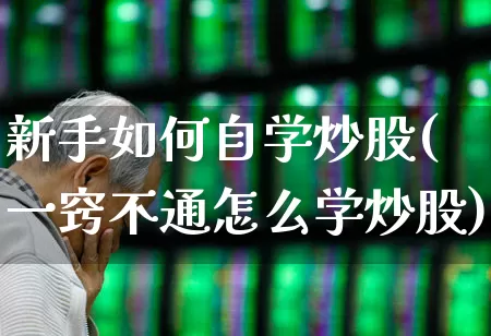 新手如何自学炒股(一窍不通怎么学炒股)_https://www.nalian8.com_深交所_第1张
