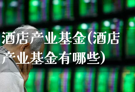 酒店产业基金(酒店产业基金有哪些)_https://www.nalian8.com_创业板_第1张