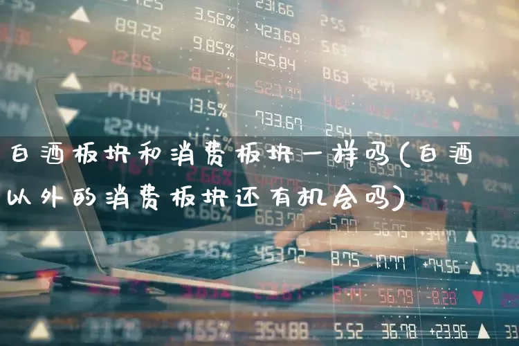白酒板块和消费板块一样吗(白酒以外的消费板块还有机会吗)_https://www.nalian8.com_深交所_第1张