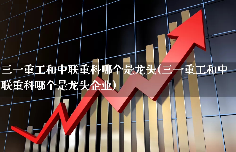 三一重工和中联重科哪个是龙头(三一重工和中联重科哪个是龙头企业)_https://www.nalian8.com_北交所_第1张