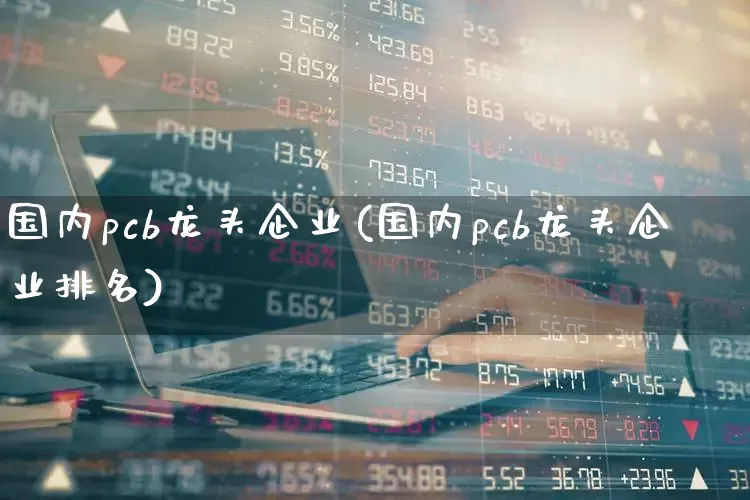 国内pcb龙头企业(国内pcb龙头企业排名)_https://www.nalian8.com_北交所_第1张