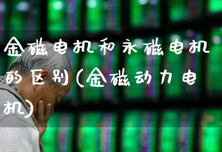 金磁电机和永磁电机的区别(金磁动力电机)_https://www.nalian8.com_科创板_第1张