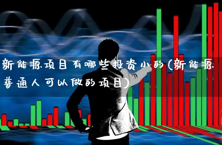 新能源项目有哪些投资小的(新能源普通人可以做的项目)_https://www.nalian8.com_深交所_第1张