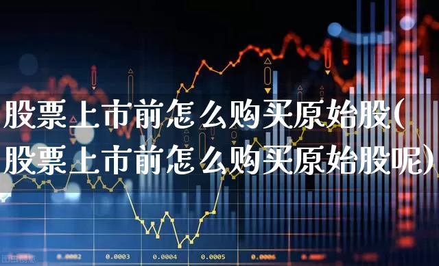 股票上市前怎么购买原始股(股票上市前怎么购买原始股呢)_https://www.nalian8.com_深交所_第1张