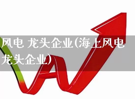 风电 龙头企业(海上风电龙头企业)_https://www.nalian8.com_深交所_第1张