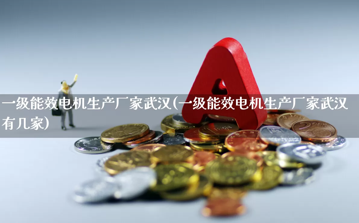 一级能效电机生产厂家武汉(一级能效电机生产厂家武汉有几家)_https://www.nalian8.com_科创板_第1张