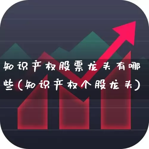 知识产权股票龙头有哪些(知识产权个股龙头)_https://www.nalian8.com_创业板_第1张