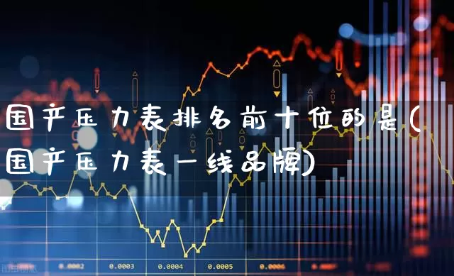 国产压力表排名前十位的是(国产压力表一线品牌)_https://www.nalian8.com_深交所_第1张