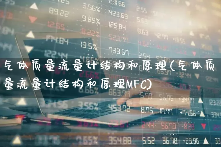 气体质量流量计结构和原理(气体质量流量计结构和原理MFC)_https://www.nalian8.com_创业板_第1张