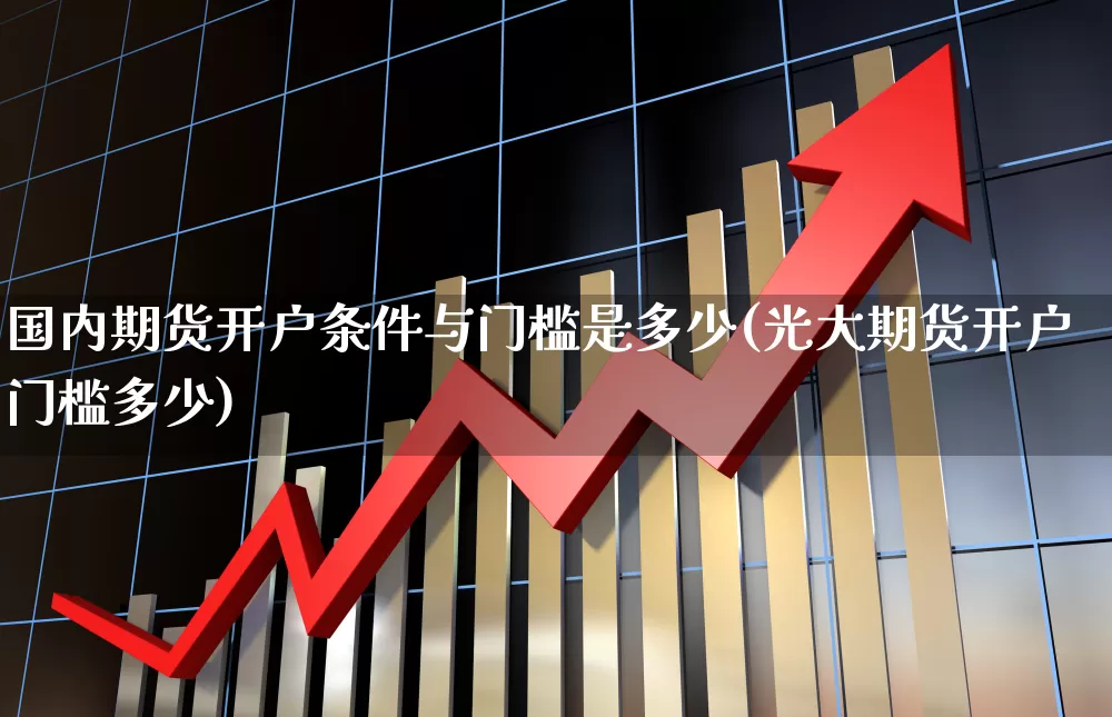 国内期货开户条件与门槛是多少(光大期货开户门槛多少)_https://www.nalian8.com_上交所_第1张