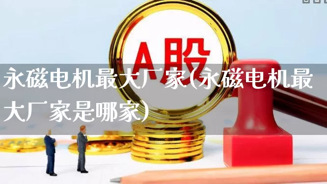 永磁电机最大厂家(永磁电机最大厂家是哪家)_https://www.nalian8.com_创业板_第1张