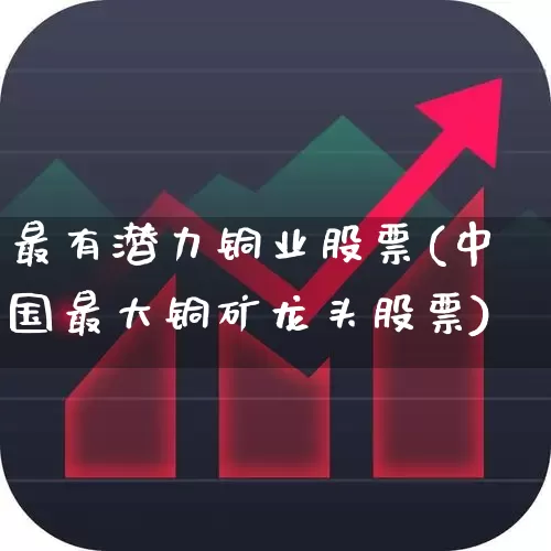 最有潜力铜业股票(中国最大铜矿龙头股票)_https://www.nalian8.com_创业板_第1张
