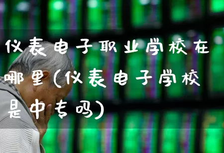 仪表电子职业学校在哪里(仪表电子学校是中专吗)_https://www.nalian8.com_深交所_第1张