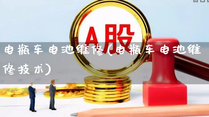 电瓶车电池维修(电瓶车电池维修技术)_https://www.nalian8.com_上交所_第1张