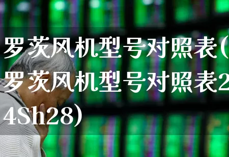 罗茨风机型号对照表(罗茨风机型号对照表24Sh28)_https://www.nalian8.com_北交所_第1张