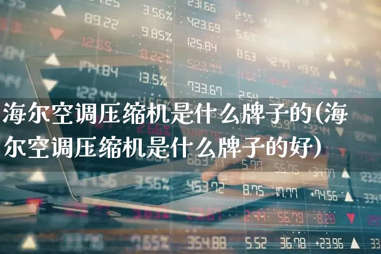 海尔空调压缩机是什么牌子的(海尔空调压缩机是什么牌子的好)_https://www.nalian8.com_科创板_第1张