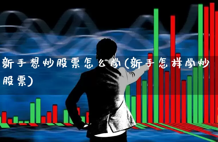 新手想炒股票怎么学(新手怎样学炒股票)_https://www.nalian8.com_创业板_第1张