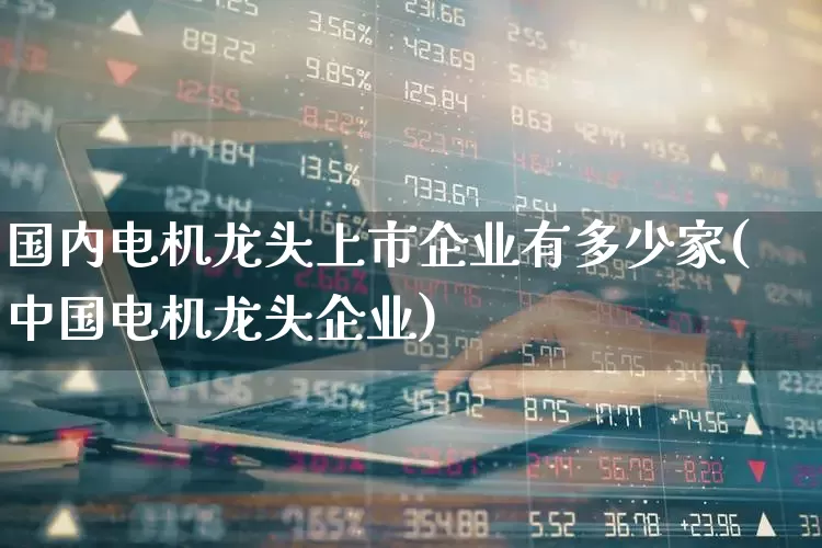 国内电机龙头上市企业有多少家(中国电机龙头企业)_https://www.nalian8.com_创业板_第1张