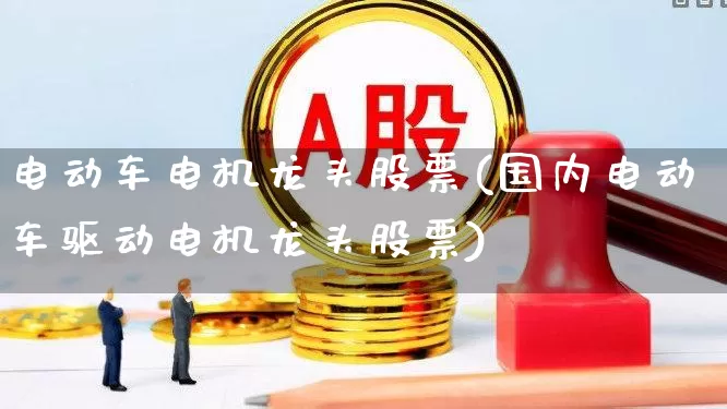 电动车电机龙头股票(国内电动车驱动电机龙头股票)_https://www.nalian8.com_科创板_第1张