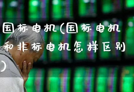 国标电机(国标电机和非标电机怎样区别)_https://www.nalian8.com_北交所_第1张