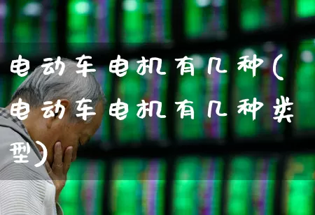 电动车电机有几种(电动车电机有几种类型)_https://www.nalian8.com_深交所_第1张