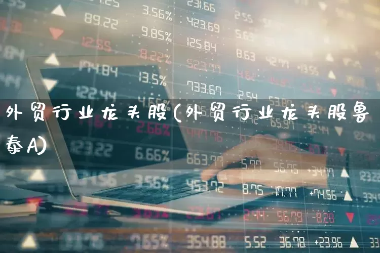 外贸行业龙头股(外贸行业龙头股鲁泰A)_https://www.nalian8.com_科创板_第1张