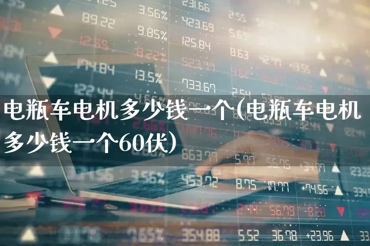 电瓶车电机多少钱一个(电瓶车电机多少钱一个60伏)_https://www.nalian8.com_深交所_第1张