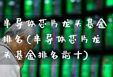 半导体芯片龙头基金排名(半导体芯片龙头基金排名前十)_https://www.nalian8.com_深交所_第1张