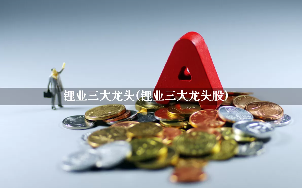 锂业三大龙头(锂业三大龙头股)_https://www.nalian8.com_科创板_第1张