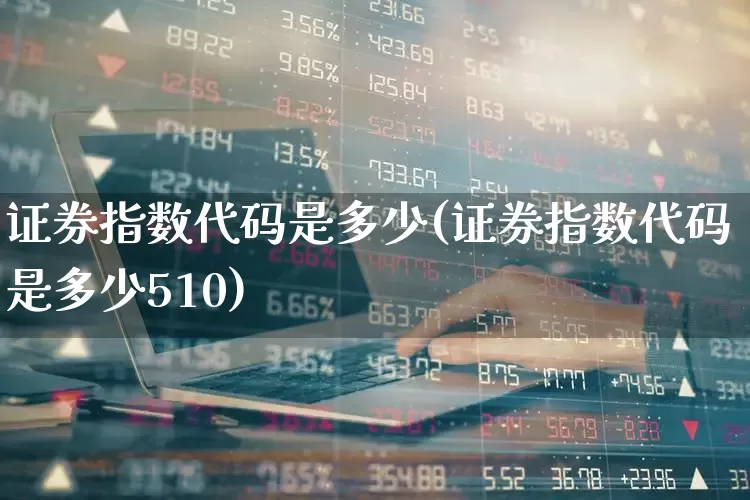 证券指数代码是多少(证券指数代码是多少510)_https://www.nalian8.com_深交所_第1张