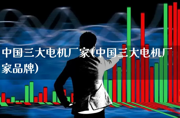 中国三大电机厂家(中国三大电机厂家品牌)_https://www.nalian8.com_上交所_第1张
