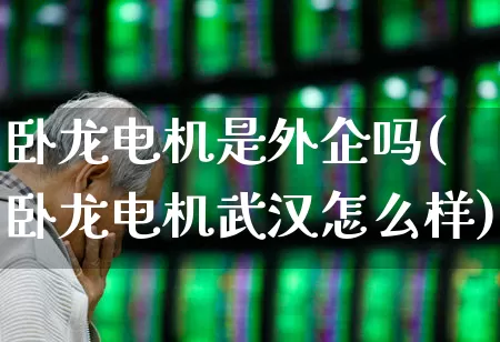 卧龙电机是外企吗(卧龙电机武汉怎么样)_https://www.nalian8.com_科创板_第1张