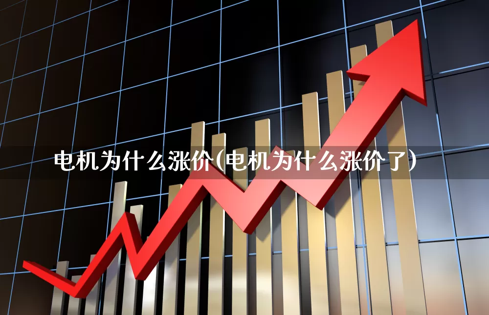 电机为什么涨价(电机为什么涨价了)_https://www.nalian8.com_北交所_第1张