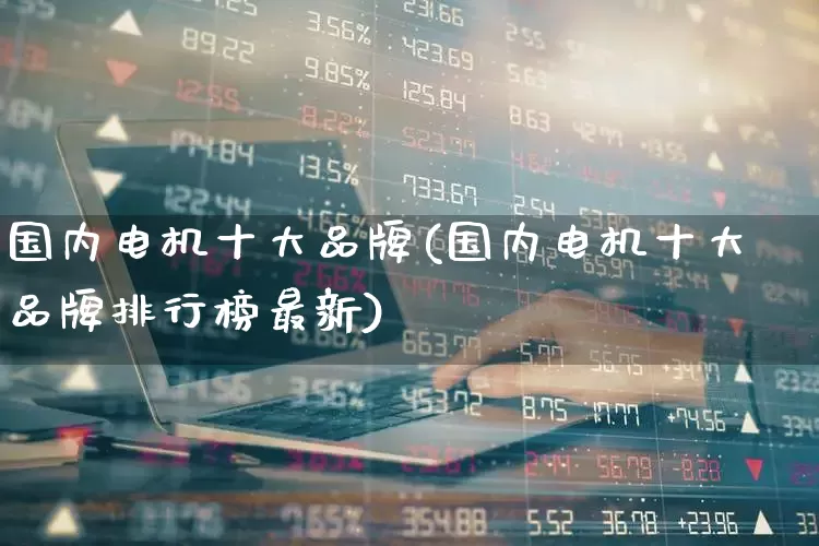国内电机十大品牌(国内电机十大品牌排行榜最新)_https://www.nalian8.com_深交所_第1张