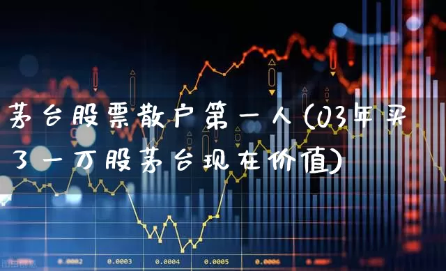 茅台股票散户第一人(03年买了一万股茅台现在价值)_https://www.nalian8.com_创业板_第1张