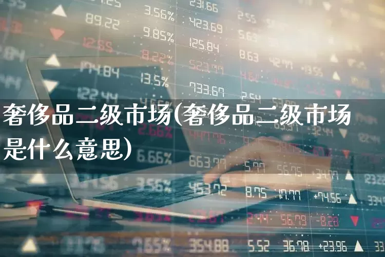 奢侈品二级市场(奢侈品二级市场是什么意思)_https://www.nalian8.com_创业板_第1张
