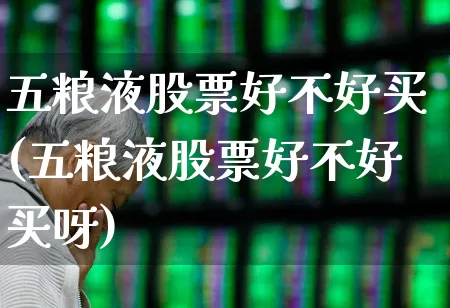 五粮液股票好不好买(五粮液股票好不好买呀)_https://www.nalian8.com_创业板_第1张