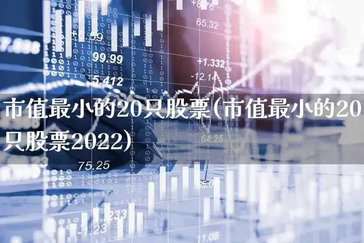 市值最小的20只股票(市值最小的20只股票2022)_https://www.nalian8.com_科创板_第1张