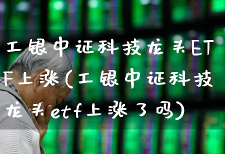 工银中证科技龙头ETF上涨(工银中证科技龙头etf上涨了吗)_https://www.nalian8.com_科创板_第1张