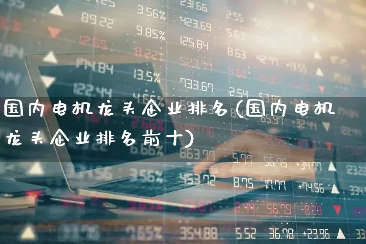 国内电机龙头企业排名(国内电机龙头企业排名前十)_https://www.nalian8.com_深交所_第1张