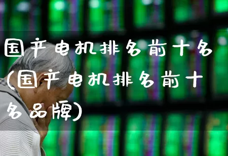 国产电机排名前十名(国产电机排名前十名品牌)_https://www.nalian8.com_创业板_第1张