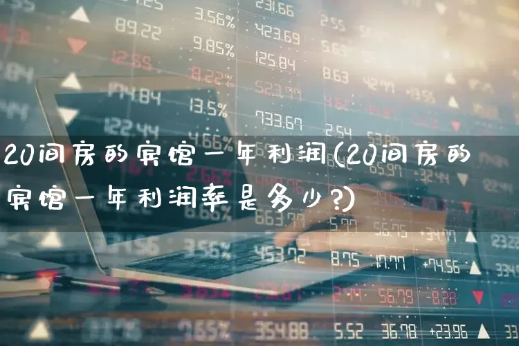 20间房的宾馆一年利润(20间房的宾馆一年利润率是多少?)_https://www.nalian8.com_创业板_第1张