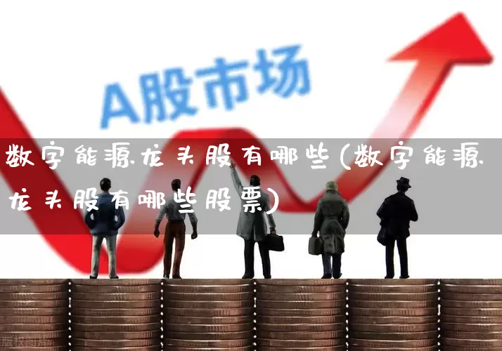 数字能源龙头股有哪些(数字能源龙头股有哪些股票)_https://www.nalian8.com_上交所_第1张