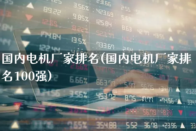 国内电机厂家排名(国内电机厂家排名100强)_https://www.nalian8.com_创业板_第1张