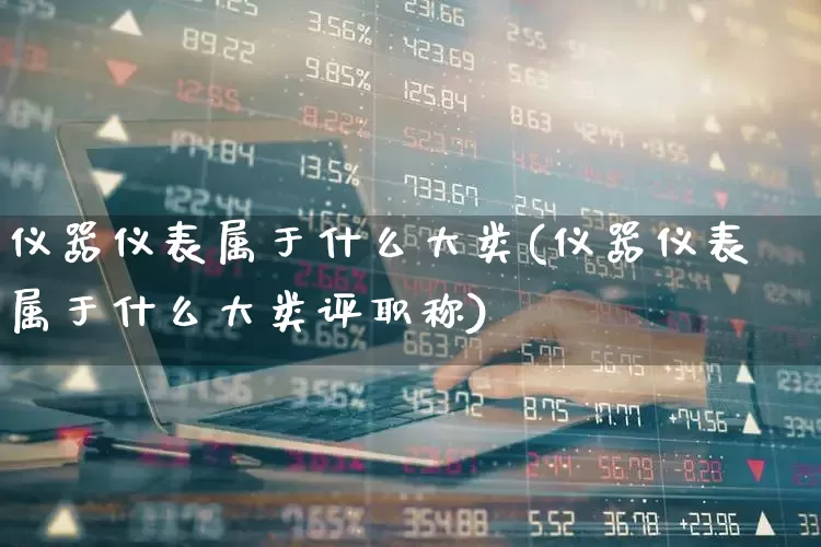 仪器仪表属于什么大类(仪器仪表属于什么大类评职称)_https://www.nalian8.com_科创板_第1张