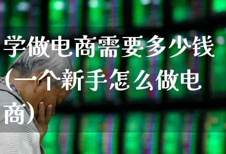 学做电商需要多少钱(一个新手怎么做电商)_https://www.nalian8.com_上交所_第1张