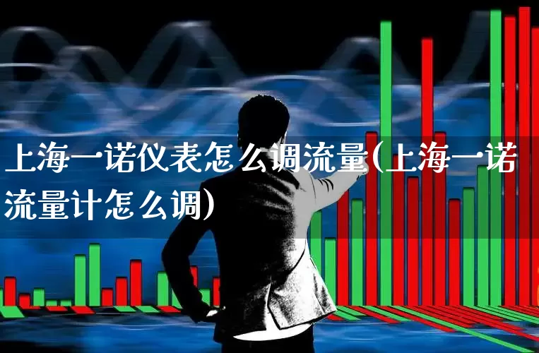 上海一诺仪表怎么调流量(上海一诺流量计怎么调)_https://www.nalian8.com_上交所_第1张