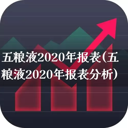 五粮液2020年报表(五粮液2020年报表分析)_https://www.nalian8.com_创业板_第1张