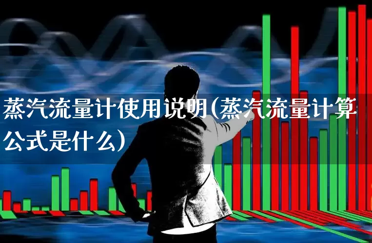 蒸汽流量计使用说明(蒸汽流量计算公式是什么)_https://www.nalian8.com_科创板_第1张