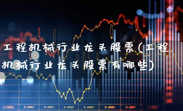 工程机械行业龙头股票(工程机械行业龙头股票有哪些)_https://www.nalian8.com_上交所_第1张
